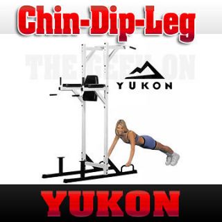 New Yukon Chin Pull Up Dip Leg abs Raise Tower Machine Station Bench 