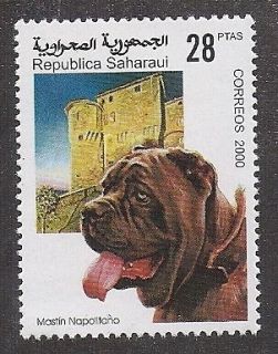   Head Portrait Postage Stamp NEO NEAPOLITAN MASTIFF Spanish Sahara MNH