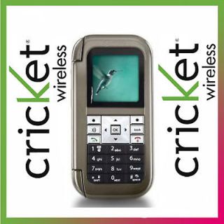 NEW CRICKET KYOCERA M1000 LINGO WILD CARD CAMERA PHONE