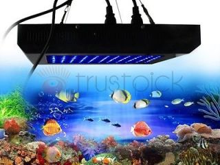 Newly listed 120W Aquarium Coral Reef Tank White Blue LED Grow Light 