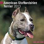 American Staffordshire Terrier 2013 Calendar 10007 13