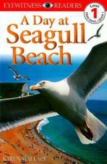 Day at Seagull Beach by Karen Wallace 1999, Paperback