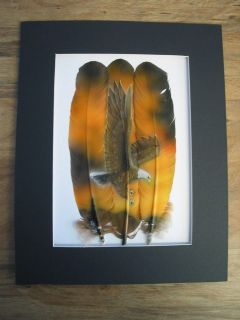 Flying Eagle   Russ Abbott Hand Painted Three Feather   COMMISSIONED