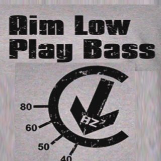 Aim Bass T Shirt/Jazz/Precision/EQ/Musician gift/IbAneZ