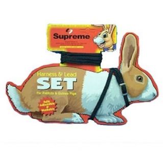 Supreme Black Rabbit & guinea pig harness & lead set pet toy supreme
