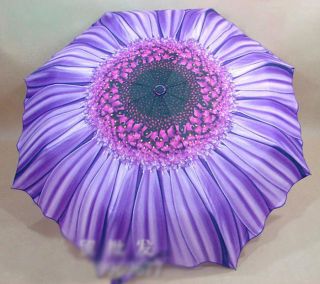   new design womens umbrella chrysanthemum flower 3 color high quality