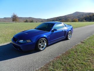 Ford : Mustang Cobra 2003 Mustang Cobra NO RESERVE Kenne Bell 2.2 