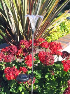 Set of 2 Multi Color Change Lily 36 Garden Solar Stakes