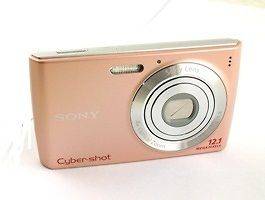 Sony Cyber Shot DSC W510 12.1 MP Digital Camera Pink