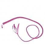 Wild Western Cowgirl Cowboy Hen & Stag Party Posse Pink Bull Whip 