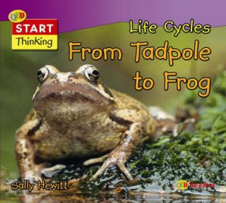 Sally Hewitt Life Cycles: From Tadpole to Frog (QED Readers: Start 