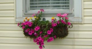 iron window boxes in Planters, Pots & Window Boxes
