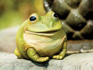 Fat Portly Frog Hide A Key Yard, Garden Decor