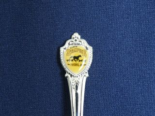 DIXIE STAMPEDE Branson Missouri Collector Souvenir Spoon (DOLLY PARTON 