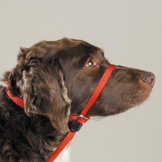 Gentle Leader Headcollars & Complete Systems for Dogs