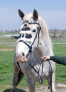 Draft Horse spanish bridle with black/white mosquero