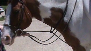   STANDING RAISED BROWN LEATHER,TACK, SADDLE ACCESSORY, HORSE TACK