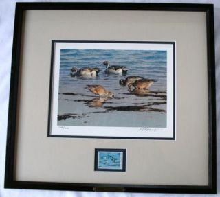 ducks unlimited framed prints in Prints