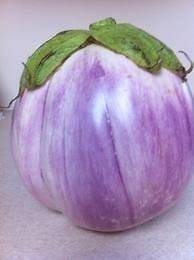 Rosa Bianca Eggplant Seeds  Heirloom  50+ 2013 Seeds $1.69 Max 