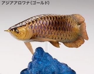   Aquarium Aquatales Japan Bronze Asian Arowana SP Capsule Figure Rare