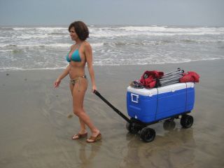   Cart Flatbed Expandabe Utility Cart   HOLDS OVER 800 LBS Beach Cart