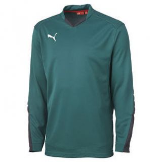 Puma Buffon Adult Goal Keepers Jersey   Green   (S, M, L, XL And XXL 