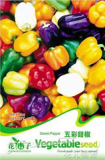   Vegetables Seeds Sweet Bell Pepper Seed Potted Colorful Mix Hot Plant