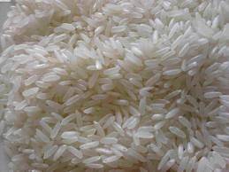 Gourmet Organic Long Grain White Rice 4 Everyday Use Storage 