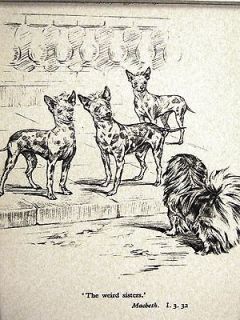Kirmse Shakespeare Dogs 1934 MEXICAN HAIRLESS TRIPLETS & PEKINGESE Art 