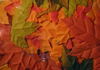 200 Fall Wedding Maple Leaf Petals Favors Flowers