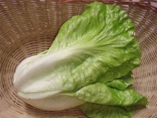 faux iceberg lettuce artificial vegetable fake food house kitchen 