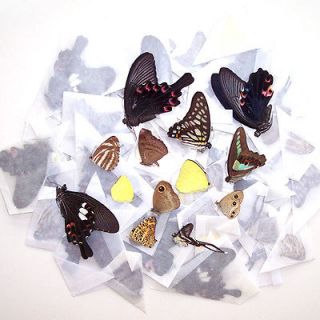 WHOLESALE 70 mixed unmounted butterfly artwork material A1 
