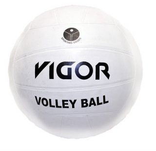 volleyball balls in Team Sports