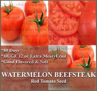 100 WATERMELON BEEFSTEAK Tomato seeds ~ ORGANIC HEIRLOOM ~ SLICING 