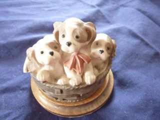   Puppies In Basket Dog Signed Capo Di Monte Marked Italian Porcelain