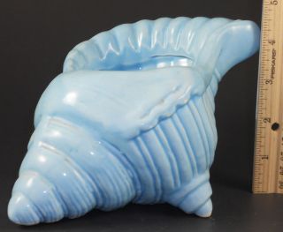 Blue Conch Shell Planter by Omnibus Nautical Theme Décor