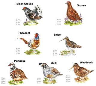 Game Bird Select Breed Size Waterslide Ceramic Decals