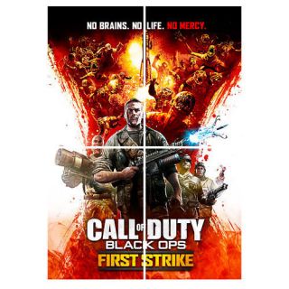 Call Of Duty Black Ops Zombies First Strike Map Pack A3 Laminated 