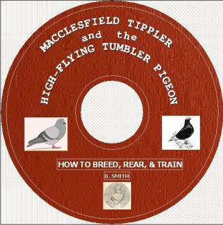 MACCLESFIELD TIPPLER /HGH FLYING TUMBLER PIGEON CD
