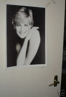Princess Diana Di Spencer Legend Door Poster Arm