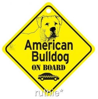 Collectibles  Animals  Dogs  American Bulldog