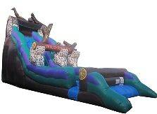   Rapids Wet/Dry Slide Commercial Inflatable Water Slides Bounce Jump 30