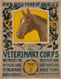 Collectibles  Historical Memorabilia  Veterinary Medicine
