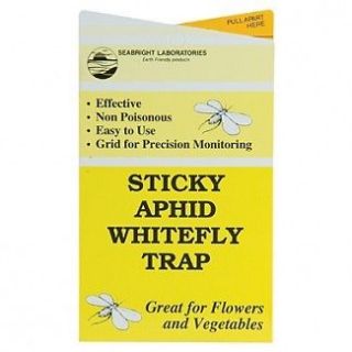 10 Yellow Sticky Insect Traps Houseplant Whitefly Aphid