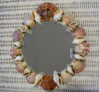 HAND MADE ROUND MIRROR TRIMMED WITH SEASHELLS VINTAGE SEA SHELLS FREE 