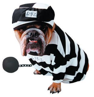 Zelda Jail Dog Prisoner Pet Halloween Costume