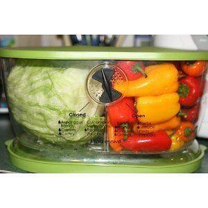 NEW Progressive 4.7 Quart Lettuce Keeper Crisper Salad Vegetable 