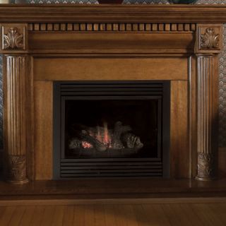 gas fireplace in Fireplaces