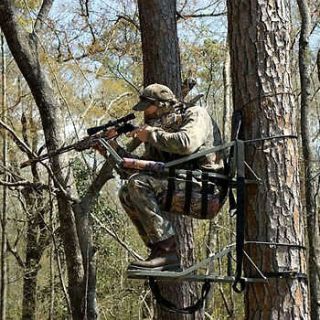 hunting stands in Tree Stands