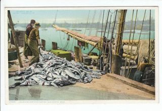   Gortons Fisherman Cod Fish Gloucester Massachusetts MA Old Postcard